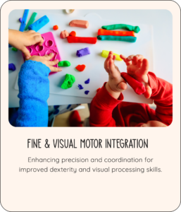 Fine & Visual Motor Integration