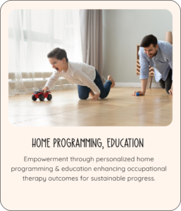 home programming, education